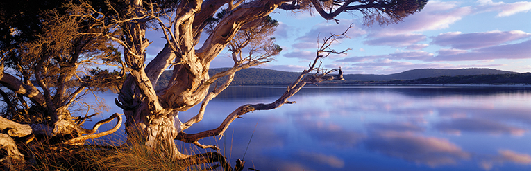 Nornalup Inlet